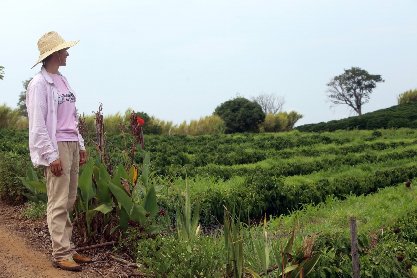 Dia do Agricultor: conheça origem da data e histórias de produtores