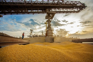 Com crescimento de 77% em 2024, Paraná ocupa segundo lugar nas exportações de milho
