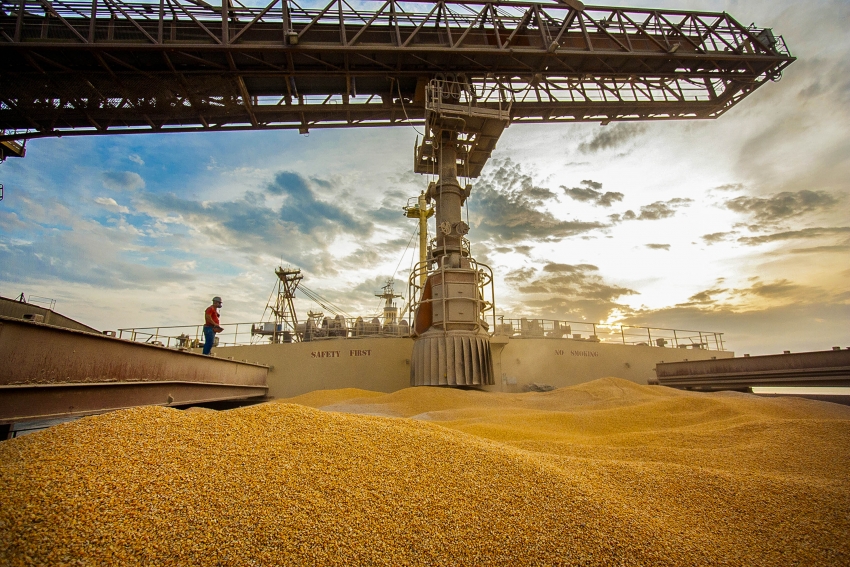 Com crescimento de 77% em 2024, Paraná ocupa segundo lugar nas exportações de milho